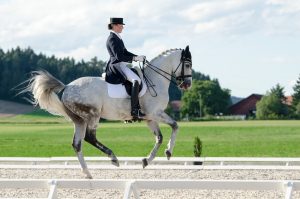 Pferdefotografie in der Schweiz Dressurreiterin auf einem Schimmel